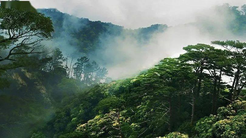 令人不快的意外