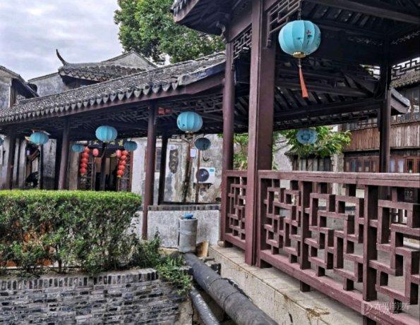 救援受困的老虎