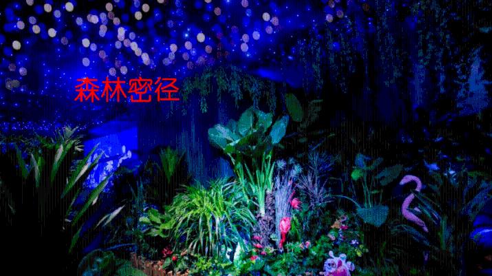 《完美伴侣》高圆圆首演40岁工作狂，婚姻和工作女神可以平衡吗？